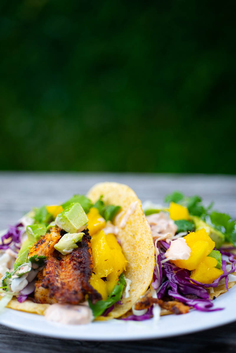 Featured image for “Crispy Fish Tacos”